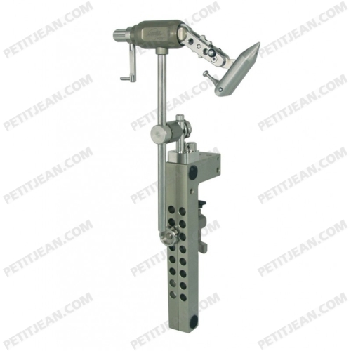 Swiss-Vise MASTER - SV1