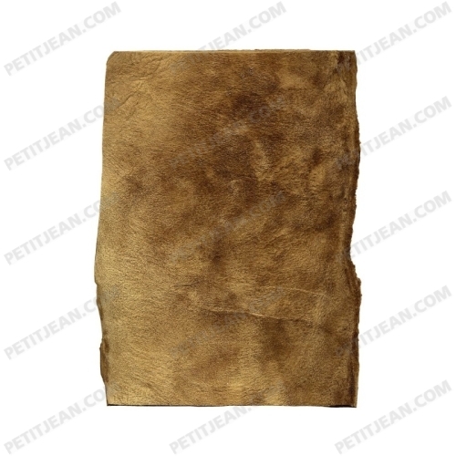 FEUILLE D'AMADOU - AA6