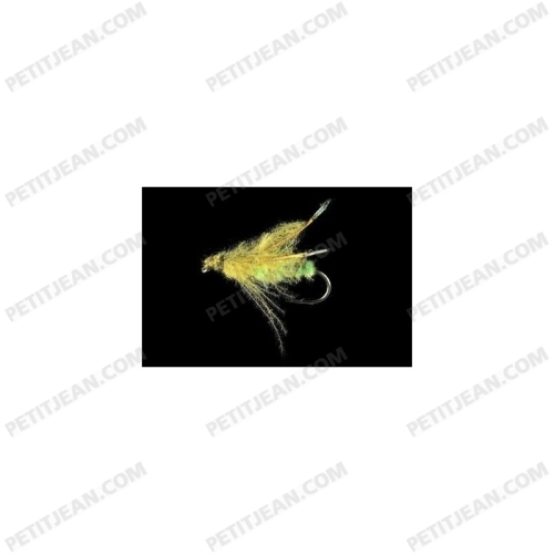 TWO-WINGED FLIES CDC MP106