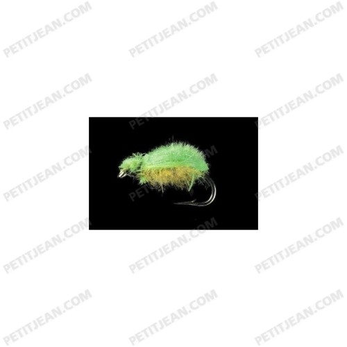 TWO-WINGED FLIES CDC MP103